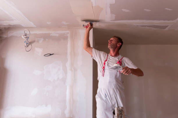 Reliable Lexington, MO Dry wall and painting Solutions